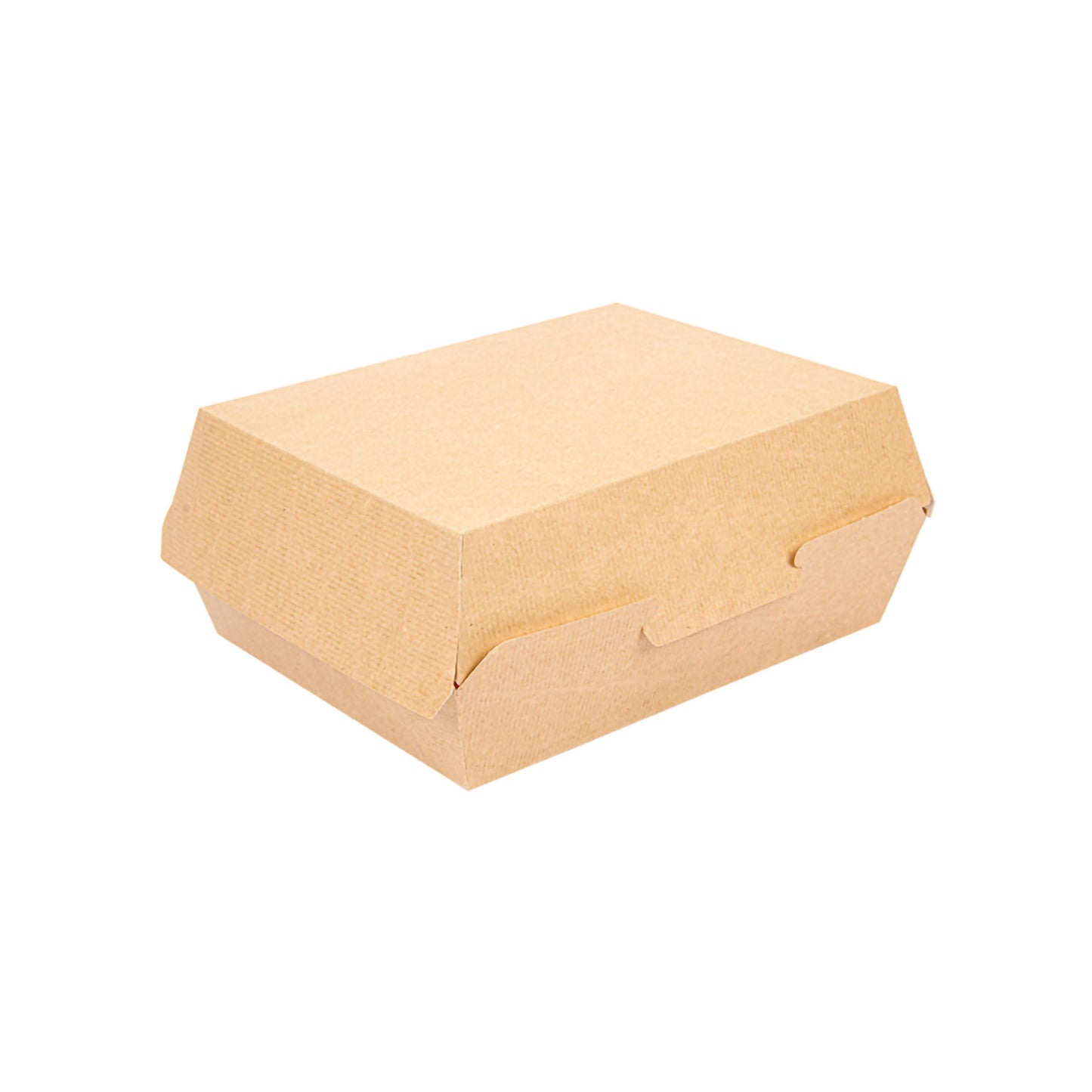 BOITES LUNCH CARTON - 22,5X17X8,5 CM