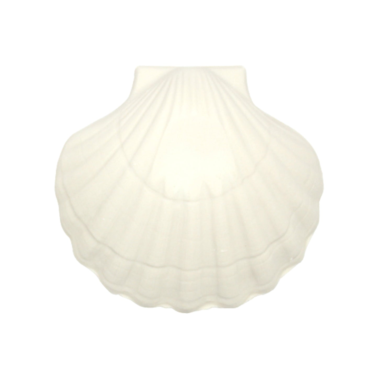 COQUILLES SAINT JACQUES MINERALES