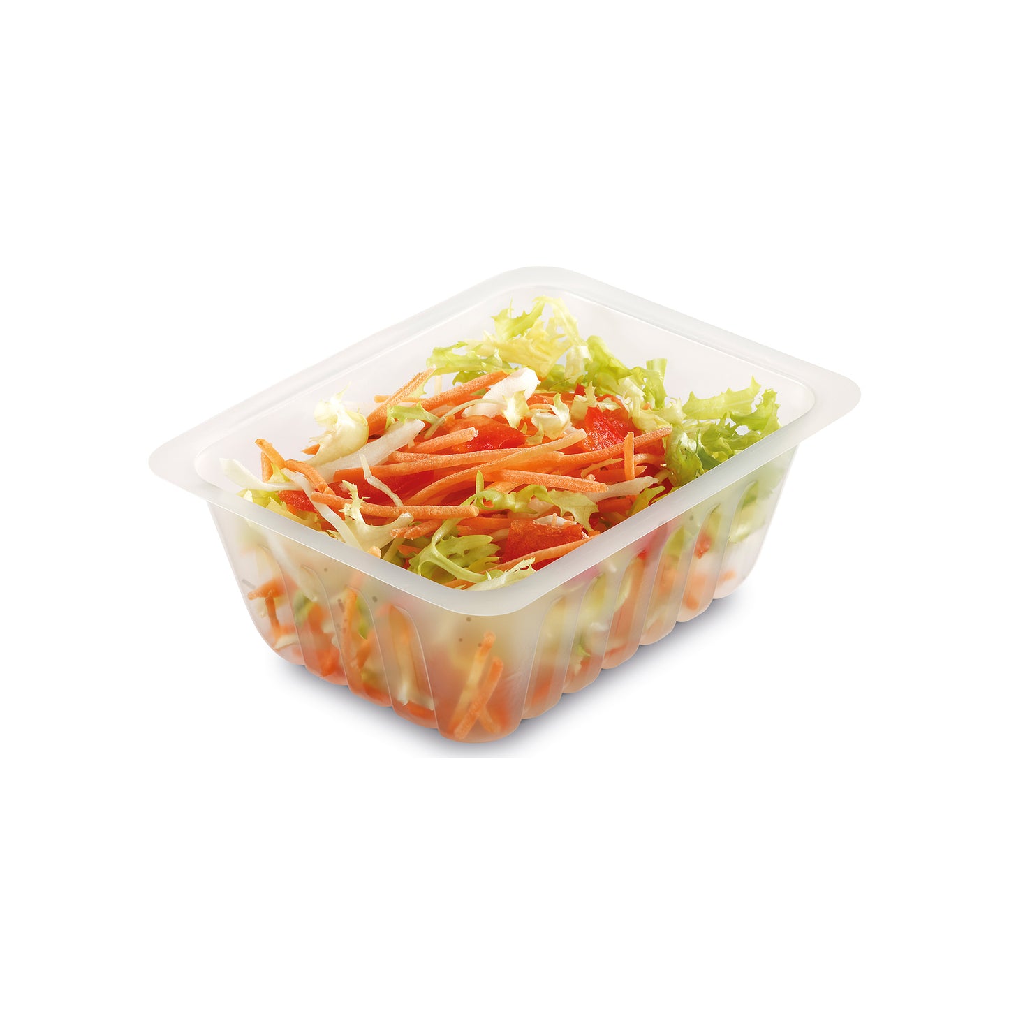 BARQUETTE PLASTIQUE