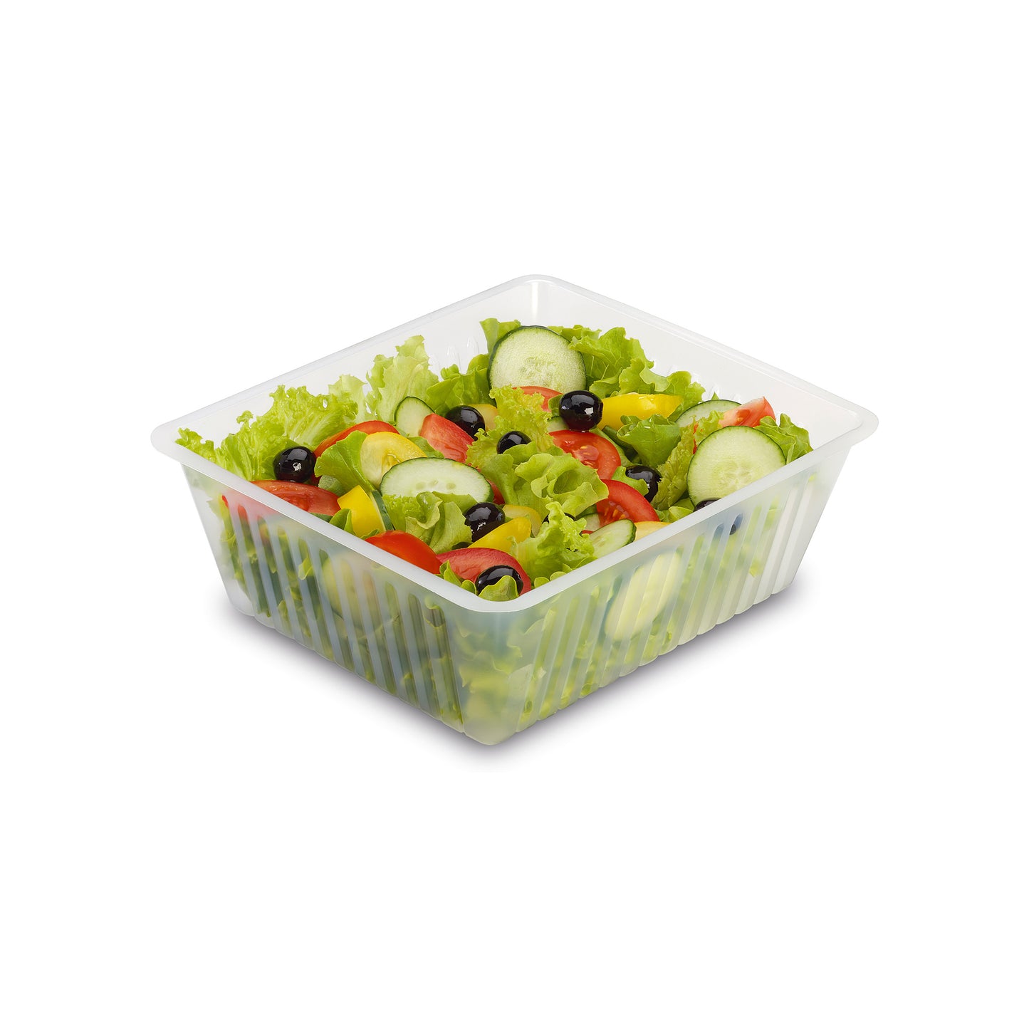 BARQUETTE PLASTIQUE