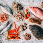 Noël • Fruits de mer
