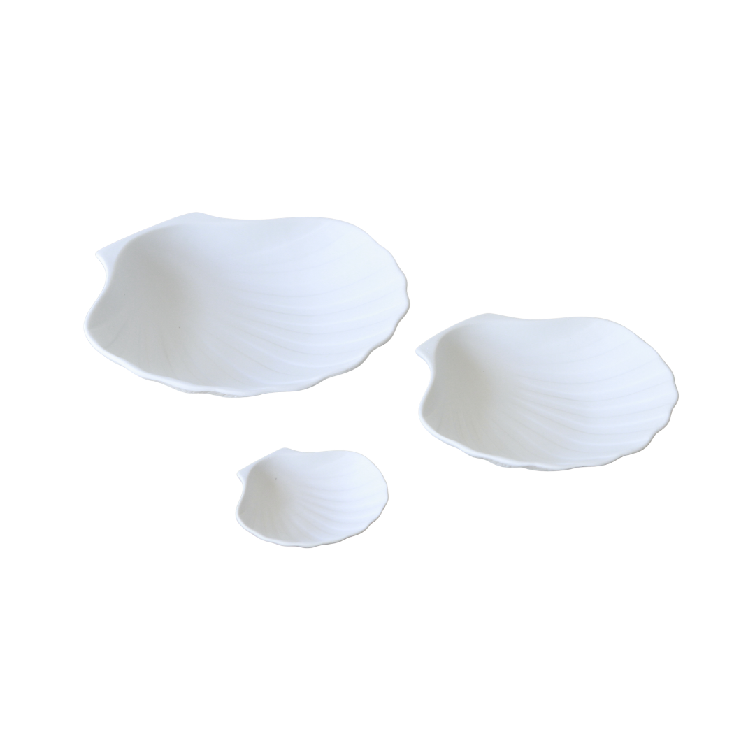 COQUILLES SAINT JACQUES MINERALES