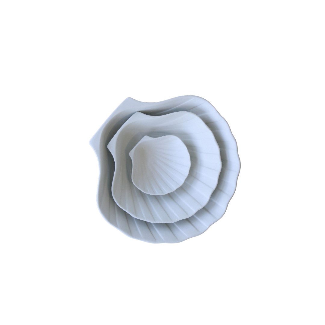 COQUILLES SAINT JACQUES MINERALES
