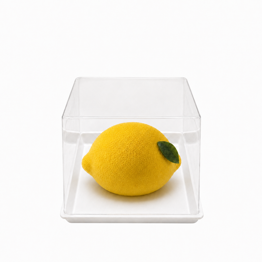 COUVERCLE TRANSPARENT EN PET POUR BOITE A TROMPE L'OEIL