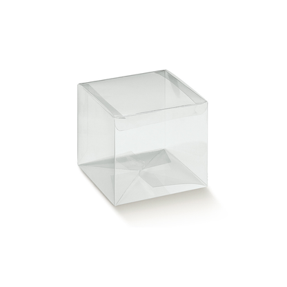 BOITE TRANSPARENTE AVEC COUVERCLE ATTACHE