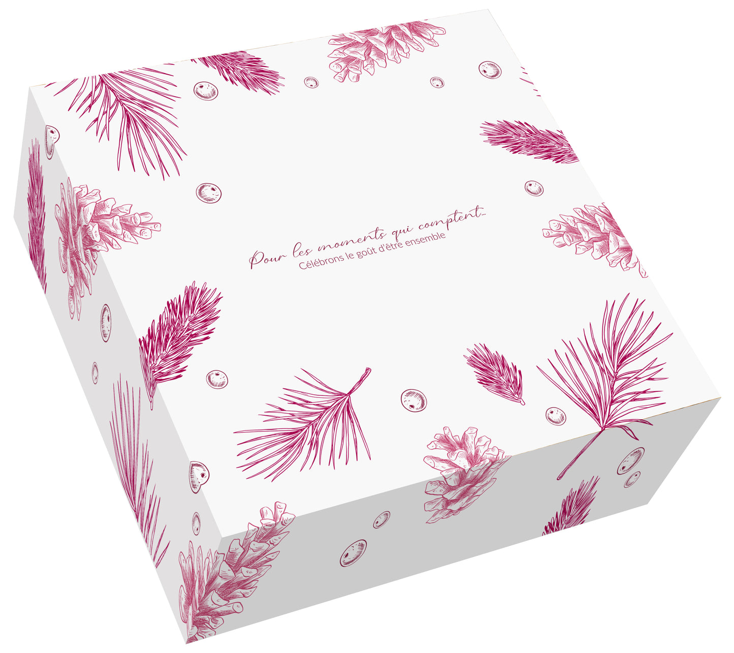 KIT BOITES PATISSIERES - HAUTEUR 5 CM - COLLECTION HIVER